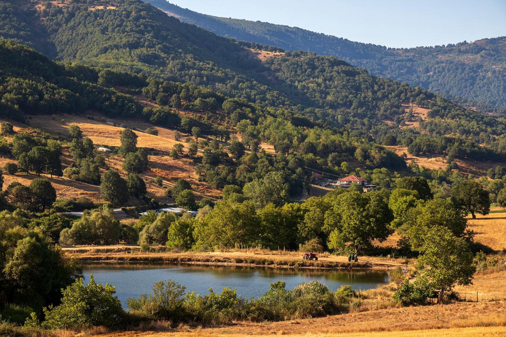 Ktima Bellou Agios Dimitrios (Pieria) Exterior foto