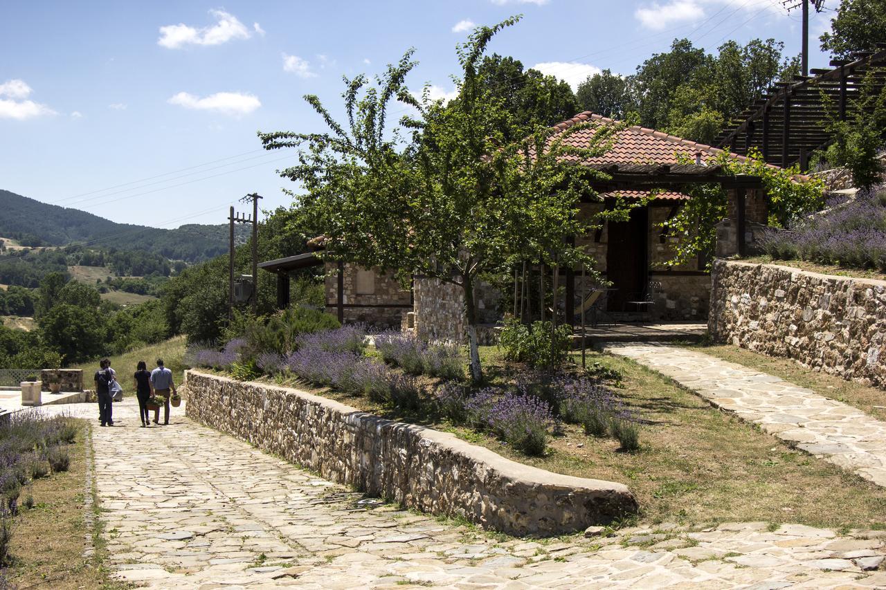 Ktima Bellou Agios Dimitrios (Pieria) Exterior foto